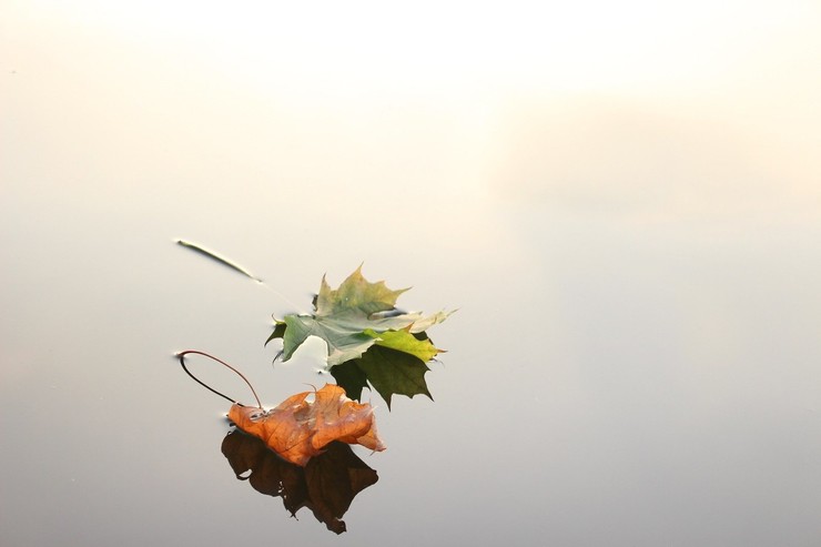 Стиль: Осень, осень! Гороскоп на октябрь – фото №4